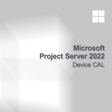 Microsoft Project Server 2022 Enhed CAL