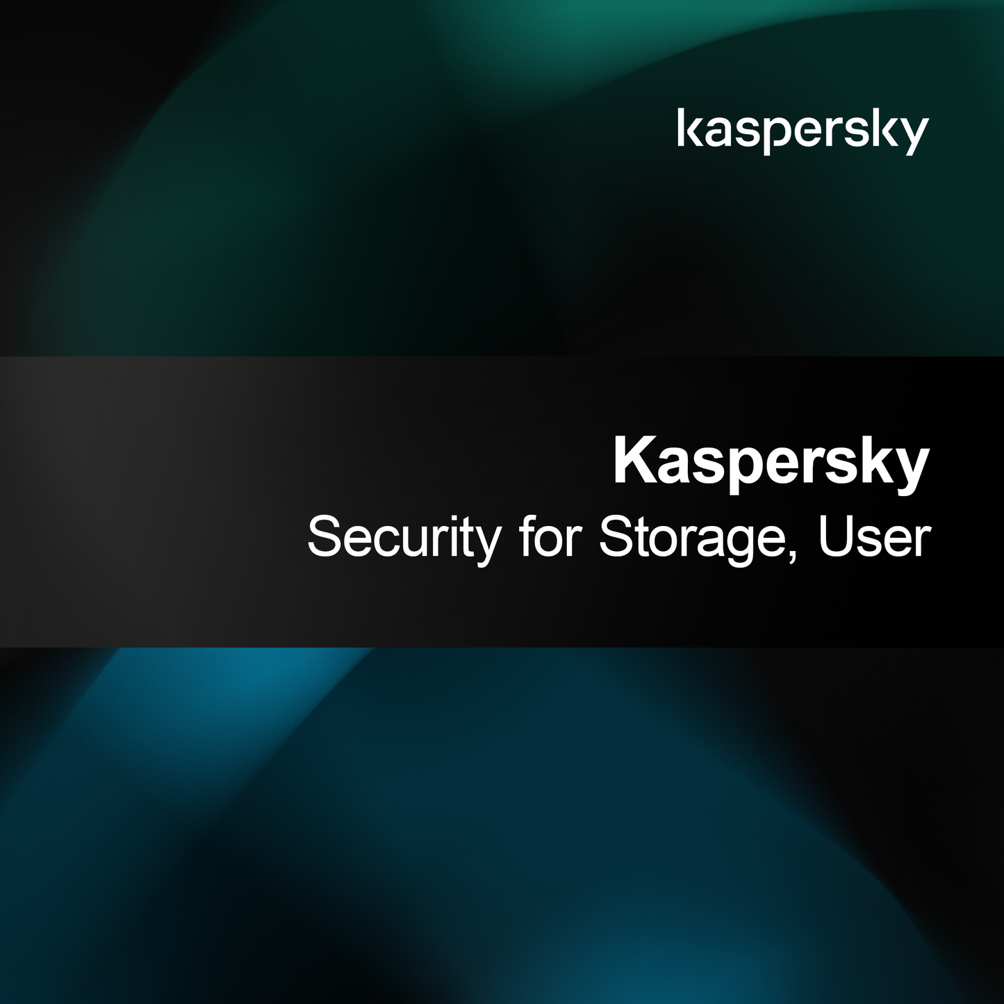 Kaspersky Sikkerhed for Lager, Bruger