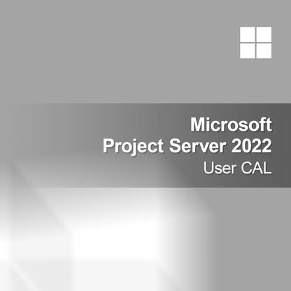 Microsoft Project Server 2022 Bruger CAL