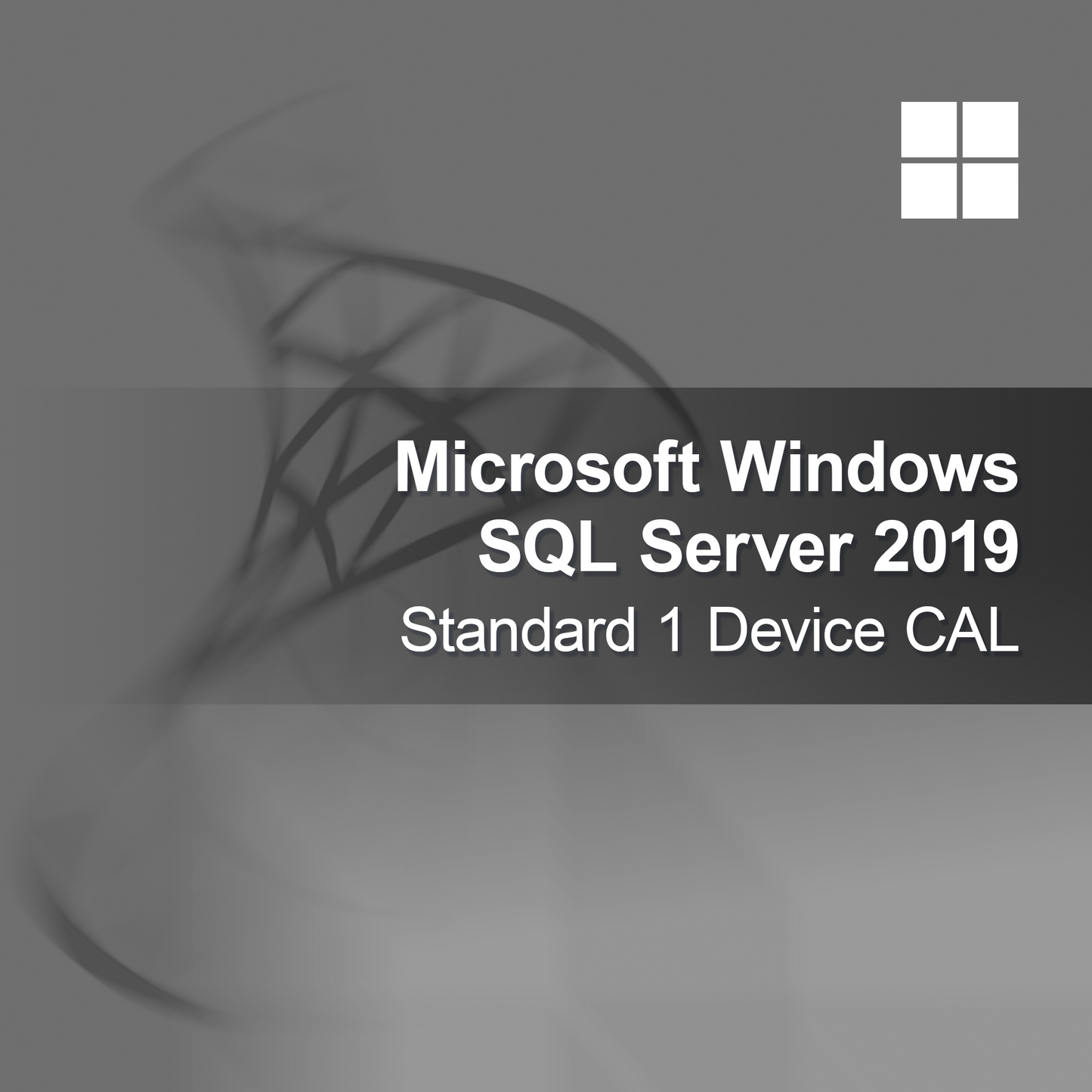 Microsoft SQL Server 2019 Standard 1 enheds CAL